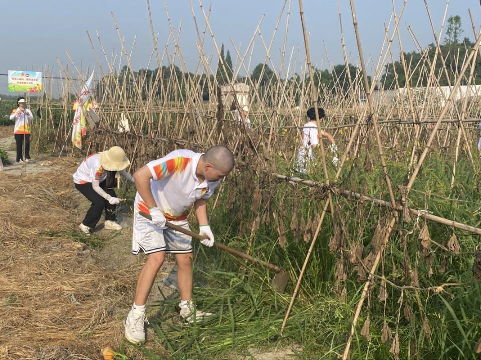 新津区柳江蔬菜基地，同学们参与劳动实践.jpg